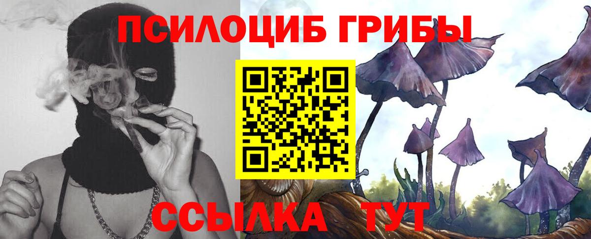 Галлюциногенные грибы прущие грибы Миллерово